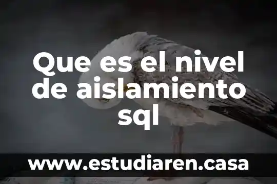 Porque se dice que es de un nivel socioeconómico medio 8 Que es el nivel de aislamiento sql