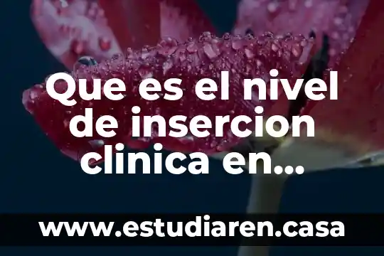 Que es un nivel erramienta 5 Que es el nivel de insercion clinica en periodoncia