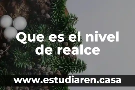 Que es nivel funcional en comunicacion 3 Que es el nivel de realce