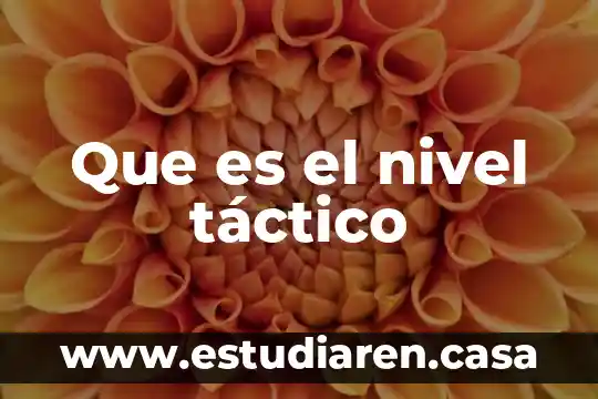 Que es nivel funcional en comunicacion 7 Que es el nivel táctico