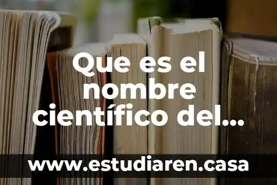 Que es el nombre científico del organoclorado