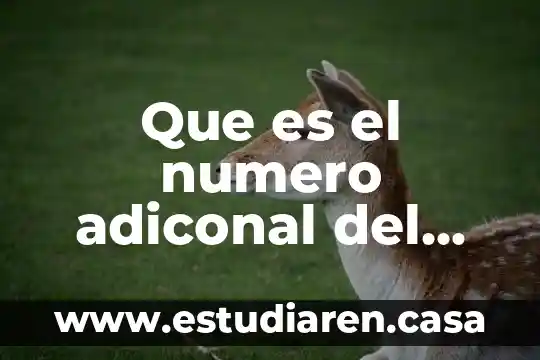 Que es el numero adiconal del contacto