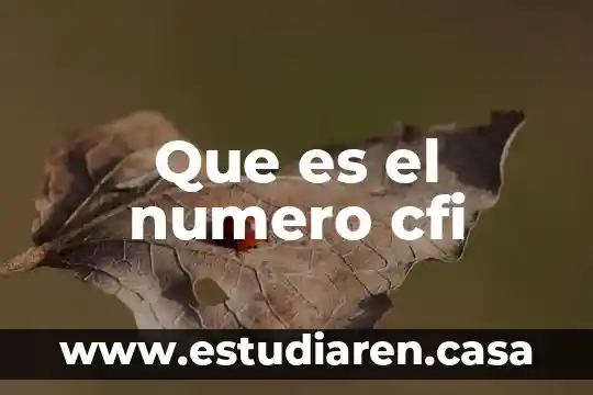Que es el numero cfi