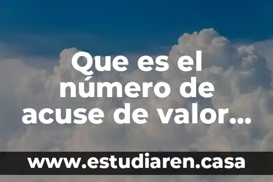 Que es el número de acuse de valor individual