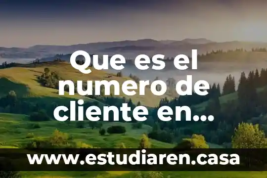 Que es el numero de cliente en bansefi