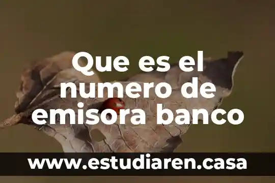Que es el numero de emisora banco