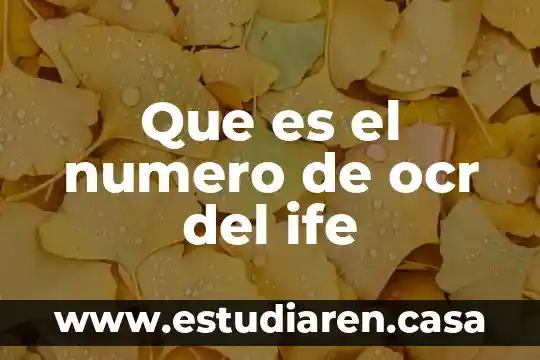 Que es el numero de ocr del ife