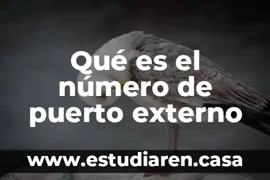 Qué es el número de puerto externo