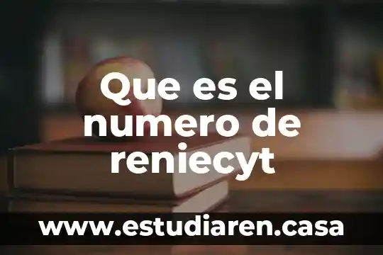 Número CLABE qué es 3 Que es el numero de reniecyt