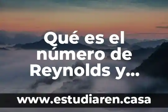 Qué es el número de Reynolds y cómo se determina