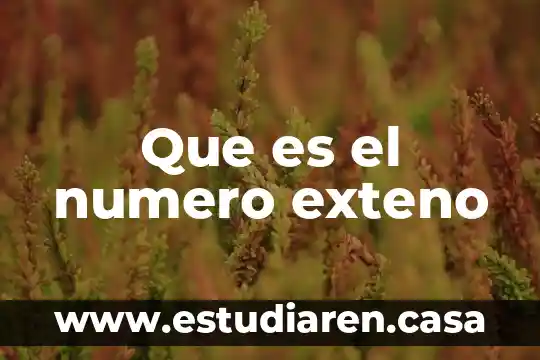 Que es el numero exteno