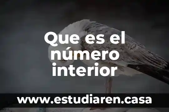 Que es el número interior