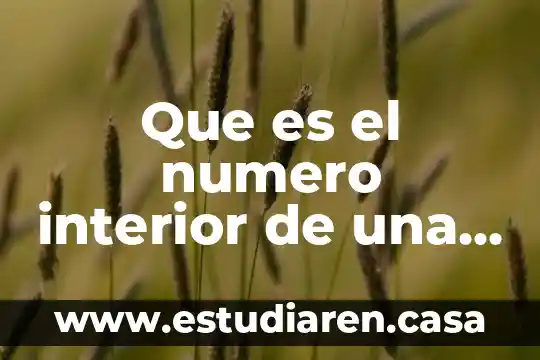 Que es el numero interior de una casa