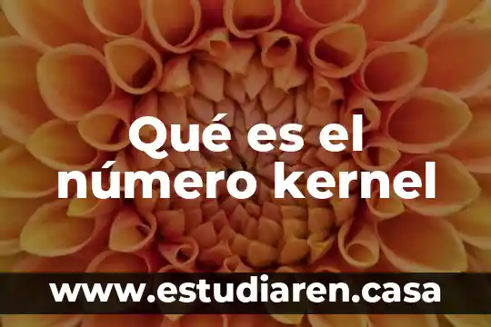 Qué es el número kernel