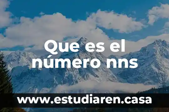 Que es el número nns