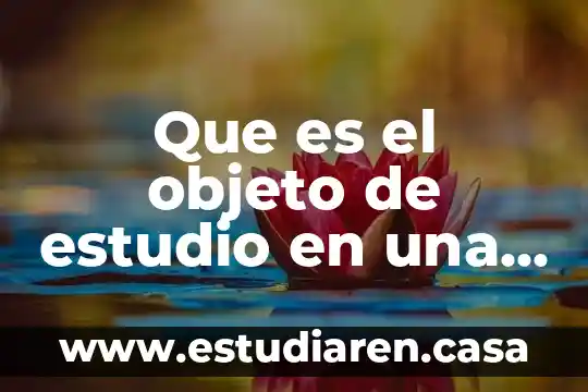 Que es el objeto de estudio en una investigacion ejemplo