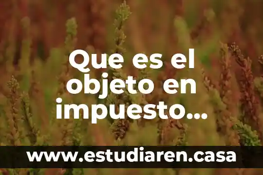 Que es el objeto en impuesto predial