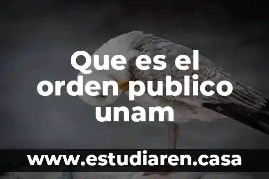 ¿Qué es el Ministerio Público? 4 Que es el orden publico unam