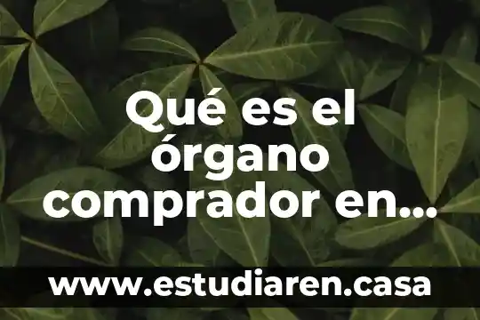 Qué es el órgano comprador en recursos materiales