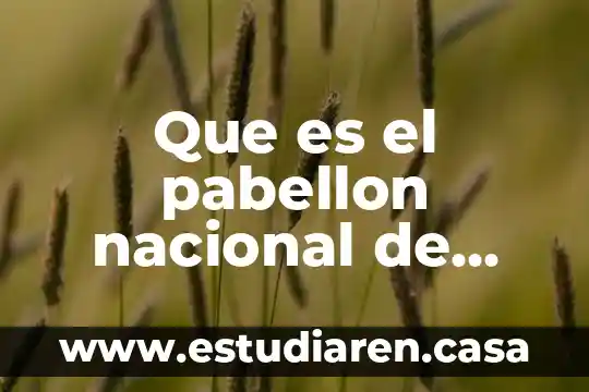 Que es el pabellon nacional de venezuela