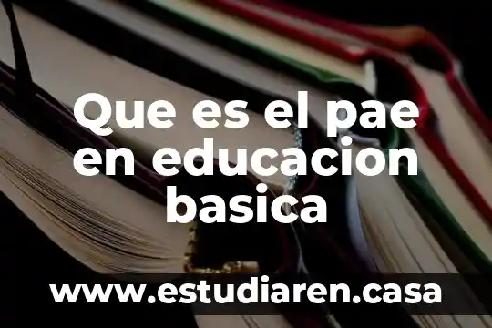Qué es clasificación básica de la materia 6 Que es el pae en educacion basica