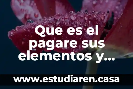 Que es mejor pagare o cedes en banamex 3 Que es el pagare sus elementos y formas de girarse
