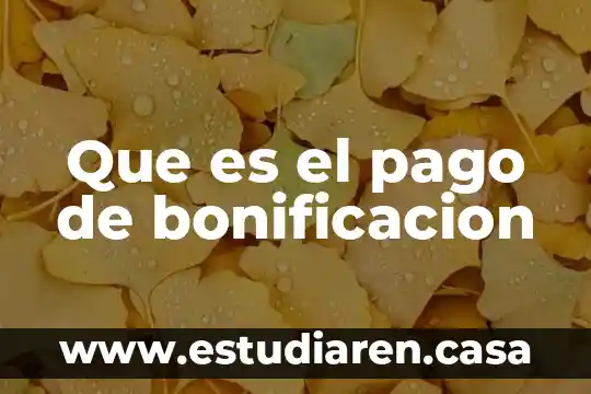 Que es el pago crf 5 Que es el pago de bonificacion