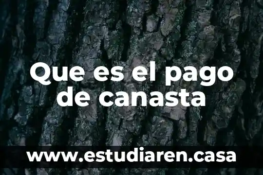 Que es el pago de las contribuciones y aprovechamientos aplicables 8 Que es el pago de canasta