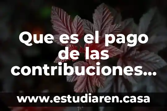 Que es el pago de canasta 7 Que es el pago de las contribuciones y aprovechamientos aplicables