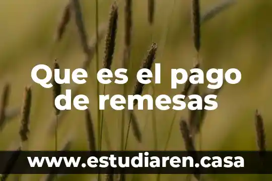 Que es el pago de canasta 8 Que es el pago de remesas