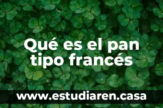 Qué es el pan tipo francés