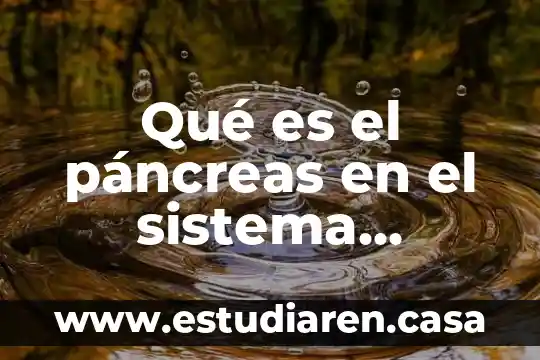 Que es un sistema de inormación 6 Qué es el páncreas en el sistema digestivo