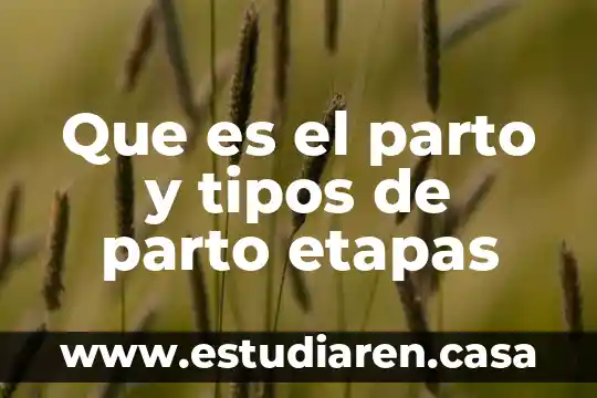 Que es el parto y tipos de parto etapas