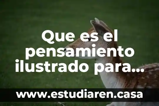 Que es la inteligencia en el proceso del pensamiento creativo 6 Que es el pensamiento ilustrado para niños