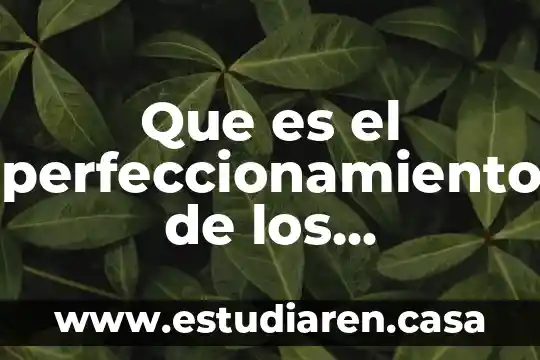 Que es indemnidad en los contratos 4 Que es el perfeccionamiento de los contratos