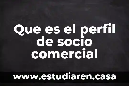 Que es el perfil de socio comercial