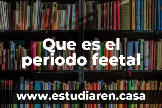 Que es periodo de enfermedad 4 Que es el periodo feetal