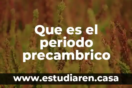 Que es periodo de enfermedad 7 Que es el periodo precambrico
