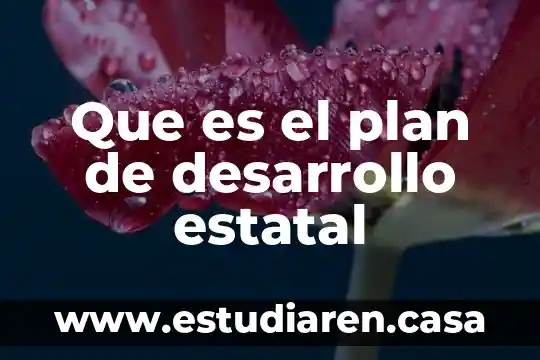 Que es el plan de desarrollo estatal