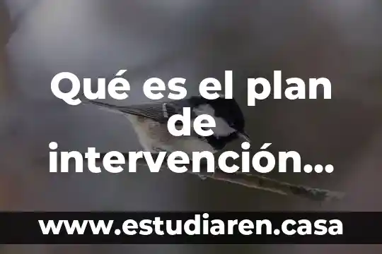 Que es un proyecto de intervencion concepto 3 Qué es el plan de intervención en educación especial