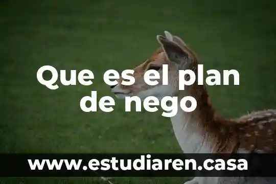 Que es un plan de investigaciom 4 Que es el plan de nego