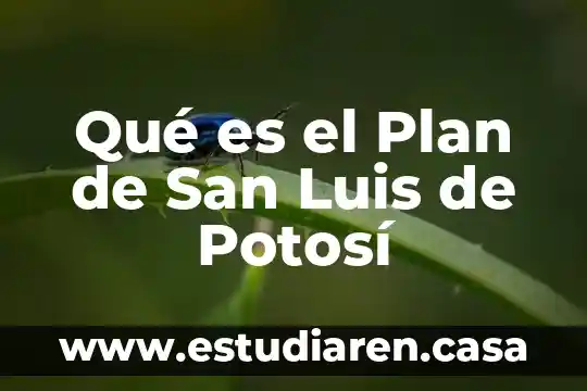 Qué es el Plan de San Luis de Potosí