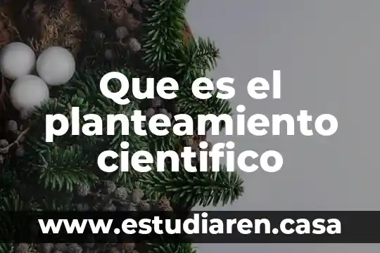Que es el planteamiento cientifico