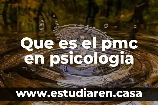 Que es el pmc en psicologia