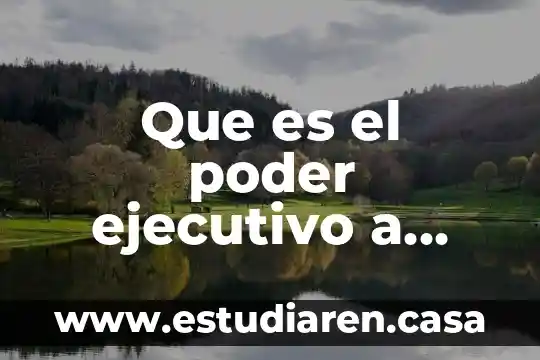 Que es el poder ejecutivo a nivel federal