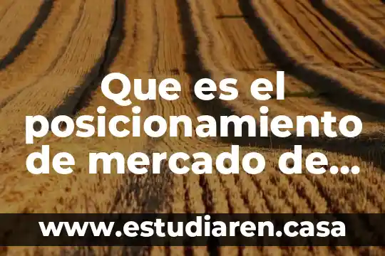 Que es el posicionamiento de mercado de tres diferentes autores