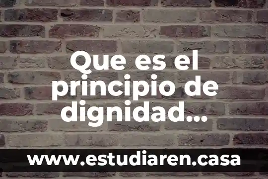 Que es dignidad del ser humano 4 Que es el principio de dignidad humana