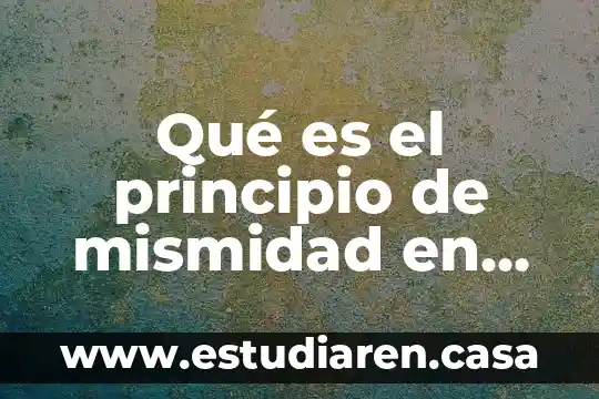 Que es un principio segun ignacio burgoa 5 Qué es el principio de mismidad en derecho
