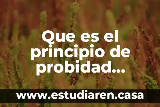 Que es un principio segun ignacio burgoa 7 Que es el principio de probidad administrativa