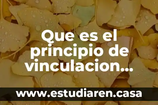 Qué es un principio en enfermeria 4 Que es el principio de vinculacion con el gasto publico